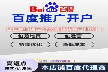 百度优化推广案例剖析：某电商平台的成功之路